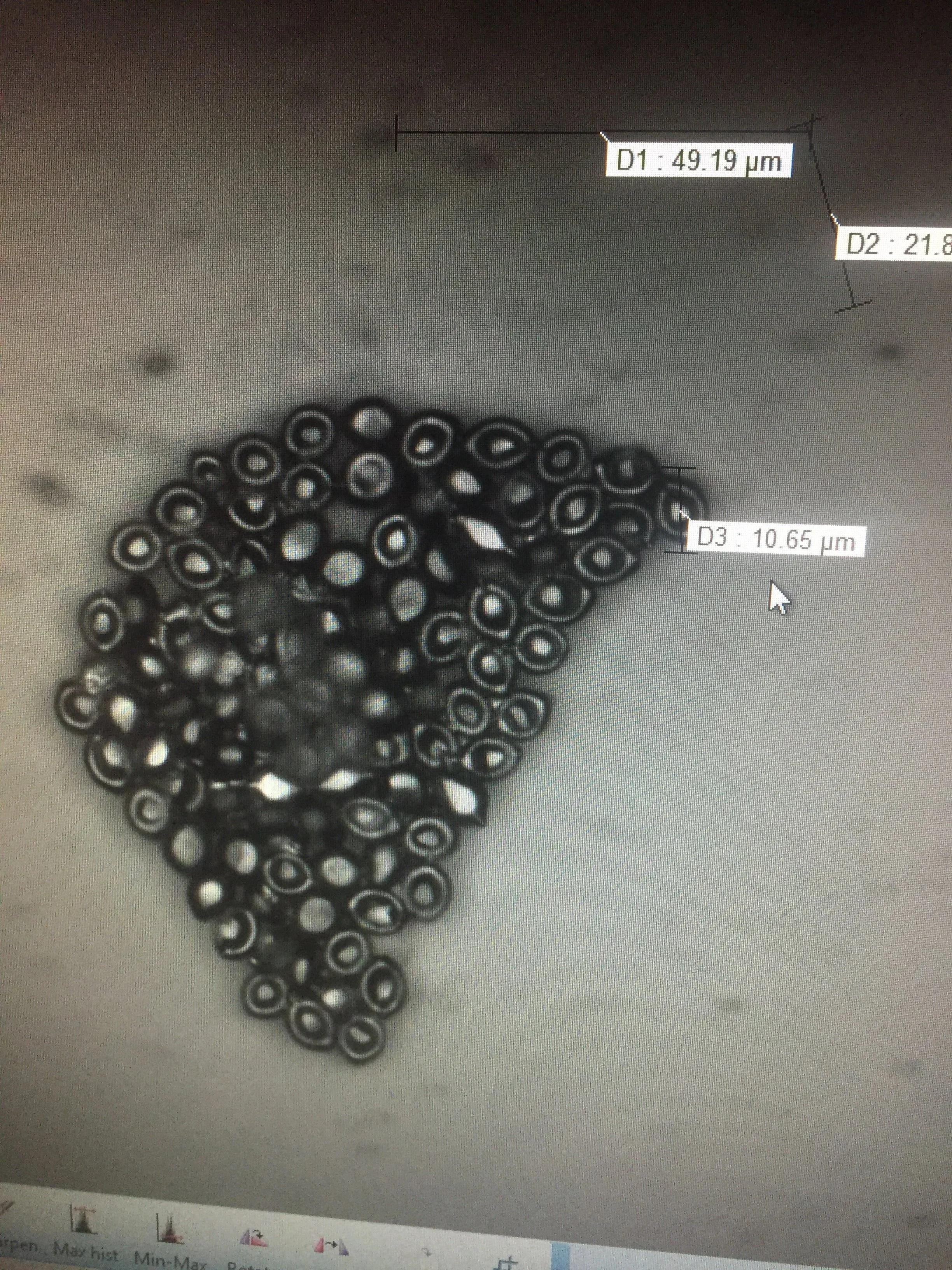 Permaculture Fungi Experiments — Nuts & Bolts Nursery Co-Op